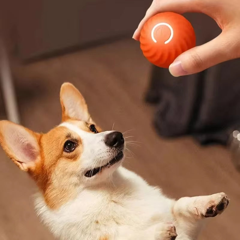 Automatic Dog Toy Ball – Smart Bouncing, Rolling & Chew Ball with USB Rechargeable Battery