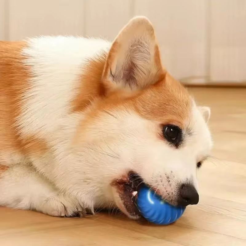 Automatic Dog Toy Ball – Smart Bouncing, Rolling & Chew Ball with USB Rechargeable Battery